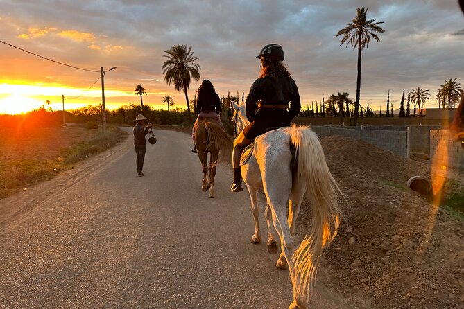 cheval-marrakech-1-1