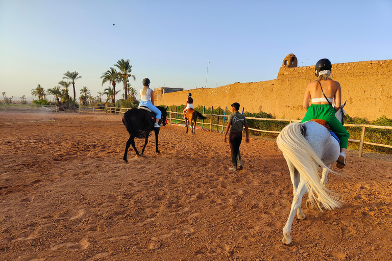 cheval-marrakech-2-1