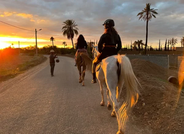 Cheval Atlas Marrakech